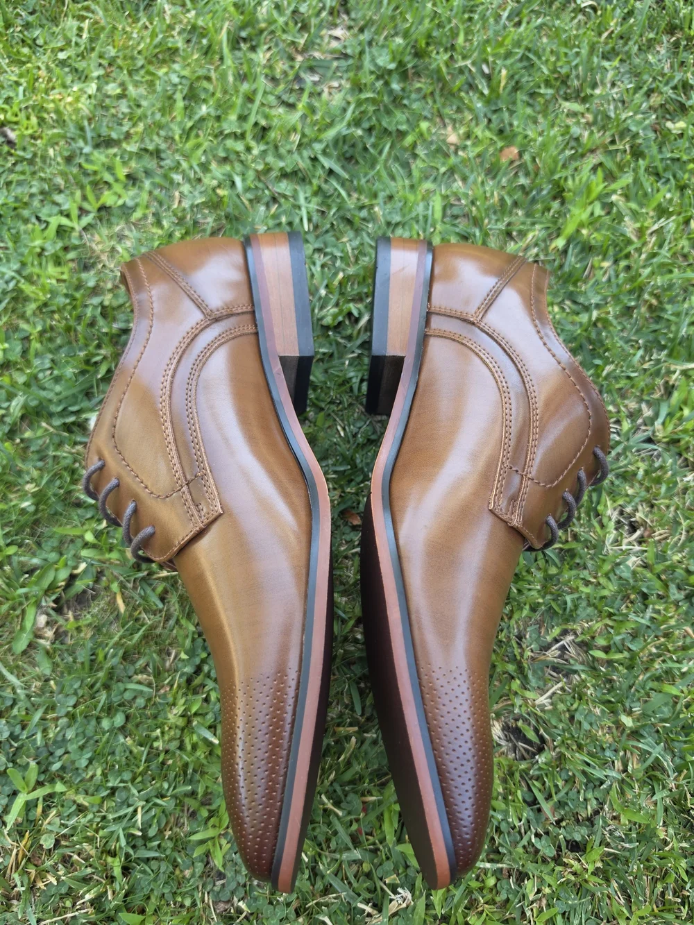 Tommy Hilfiger Brown Leather Derby Shoes